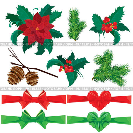 Set of winter holiday plants, flowers, berries and bows. Could be used for Christmas and New Year design. Isolated on white background. Стоковая иллюстрация, агентство Ingram Publishing / Фотобанк Лори