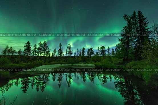 Северное сияние, отражающееся в воде. Стоковое фото, фотограф Данил Хусаинов / Фотобанк Лори