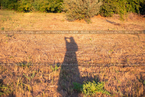 Shadow of a man on the grass. Long reflection of a woman on a beveled yellow field. Стоковое фото, фотограф Коханова Наталья / Фотобанк Лори