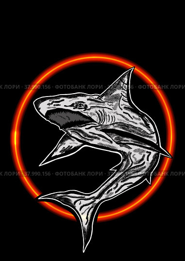 Shark. Стоковая иллюстрация, иллюстратор Диана Васильева / Фотобанк Лори