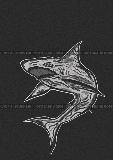 Shark. Стоковая иллюстрация, иллюстратор Диана Васильева / Фотобанк Лори