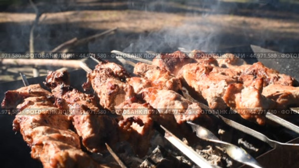 шашлык на шампурах, мясо на мангале в лесу на открытом воздухе летом. Стоковое видео, видеограф Яна Проничева / Фотобанк Лори