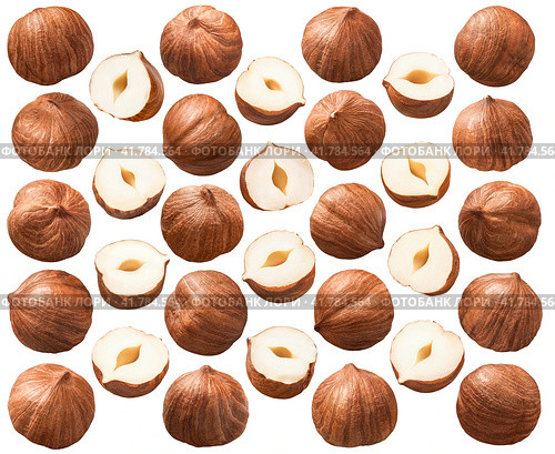 Shelled hazelnut kernels set 4 isolated on white background. Nuts whole and half. Стоковое фото, фотограф Катерина Ковалева / Фотобанк Лори