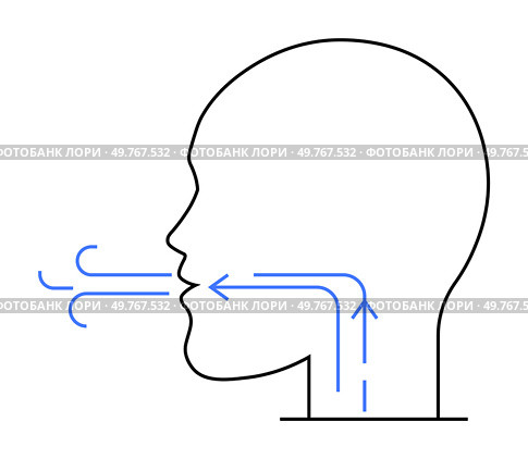 Side profile of a head with blue arrows indicating air entering and circulating within. Ideal for medical studies, respiratory education, biology classes, health presentations, anatomical reviews. Side View Diagram of Human Breathing Mechanism with Airflow Arrows. Стоковая иллюстрация, агентство Ingram Publishing / Фотобанк Лори