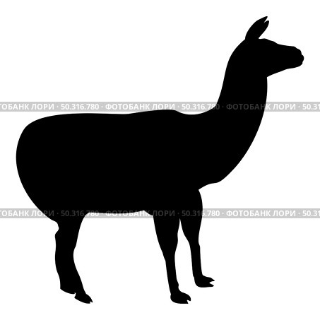 Silhouette alpaca llama lama guanaco black color vector illustration flat style simple image. Silhouette alpaca llama lama guanaco black color vector illustration flat style image. Стоковая иллюстрация, агентство Ingram Publishing / Фотобанк Лори