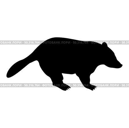 Silhouette badger animal wild meles taxus predatory mammal family kunihih carnivore black color vector illustration flat style simple image. Silhouette badger animal wild meles taxus predatory mammal family kunihih carnivore black color vector illustration flat style image. Стоковая иллюстрация, агентство Ingram Publishing / Фотобанк Лори