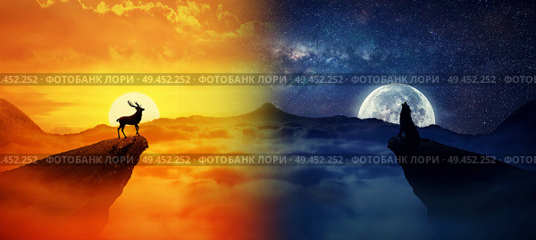 Silhouette of a lonely deer and a howling wolf standing on different cliffs against. Wild life landscape scene screen saver. Day vs Night, Moon vs Sun. Стоковое фото, агентство Ingram Publishing / Фотобанк Лори