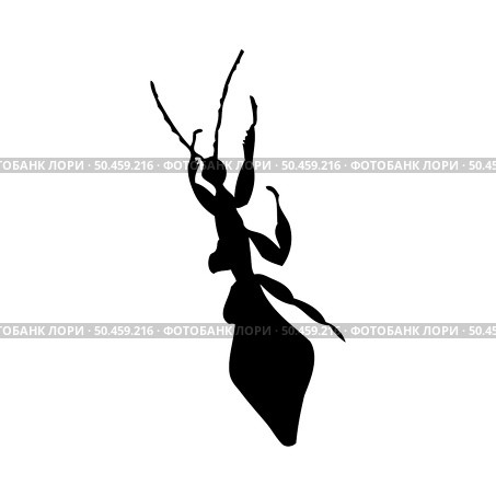 Silhouette of mantis. Mantis close-up detailed. Vector mantis icon on white background. Стоковая иллюстрация, агентство Ingram Publishing / Фотобанк Лори