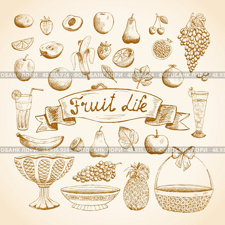 Sketches of juicy fresh fruits orange, grape, apple, strawberry, cherry and others vector illustration. Стоковая иллюстрация, агентство Ingram Publishing / Фотобанк Лори