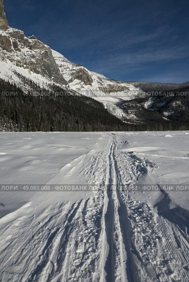 Ski tracks in snow covered landscape with mountain in winter, Emerald Lake, Field, British Columbia, Canada. Стоковое фото, агентство Ingram Publishing / Фотобанк Лори