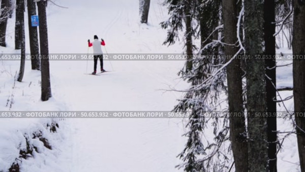 Skiers skiing in the park. Стоковое видео, видеограф Igor Skripachev / Фотобанк Лори