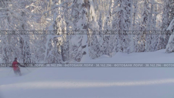 Skitour in Siberia. A man riding down the hill in a snowy forest. Стоковое видео, видеограф Chudakov_Ivan / Фотобанк Лори