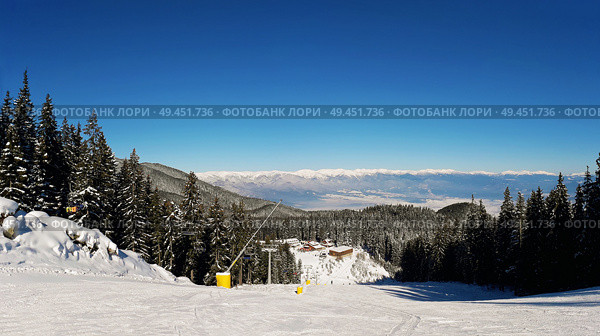 Slope on the skiing resort in Bansko, Bulgaria. Snow fir forest and clear blue sky. Стоковое фото, агентство Ingram Publishing / Фотобанк Лори
