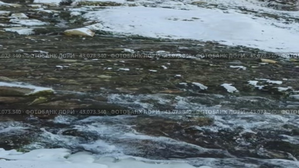 Словенские ключи — расположенные на берегу Городищенского озера (2024 год). Редакционное видео, видеограф Светлана Качанова / Фотобанк Лори
