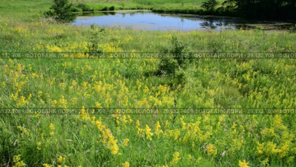 small lake In central part of Russia. Стоковое видео, видеограф Володина Ольга / Фотобанк Лори