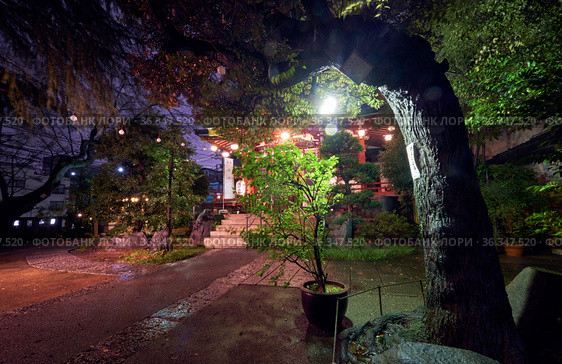Small local shrine in Shibuya at night. Tokyo. Japan (2019 год). Редакционное фото, фотограф Сергей Пристяжнюк (Serg Zastavkin) / Фотобанк Лори