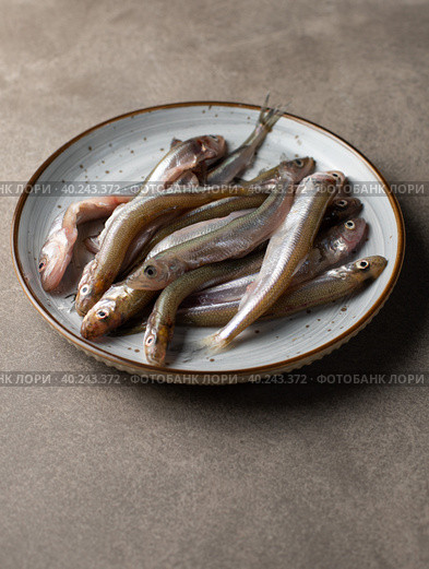 Small raw fish, snetok or smelt on a plate. Close-up, vertical view. Стоковое фото, фотограф Bogdanova Mariia / Фотобанк Лори