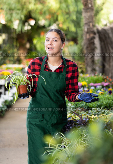 Smiling salesgirl offering potted Chlorophytum comosum in greenhouse. Стоковое фото, фотограф Яков Филимонов / Фотобанк Лори