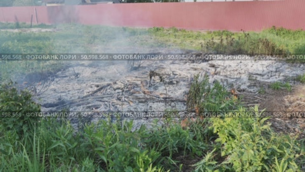 Smoldering ashes and green grass burning in wildfire near residential area. Стоковое видео, видеограф Mikhail Davidovich / Фотобанк Лори