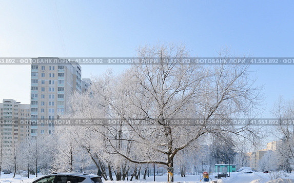 Snowy park in winter in Zelenograd in Moscow, Russia. Стоковое фото, фотограф Володина Ольга / Фотобанк Лори