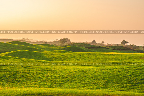 Soft sunlight bathes the landscape in a warm glow, highlighting the texture of the grass covering the gently sloping hills, creating a peaceful and inviting scene. Стоковое фото, фотограф Ольга Ильина / Фотобанк Лори