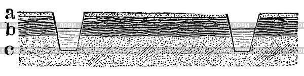 Soil improvement. Dam culture. Publication of the book "Meyers Konversations-Lexikon", Volume 7, Leipzig, Germany, 1910. Стоковая иллюстрация, иллюстратор Sergey Kohl / Фотобанк Лори