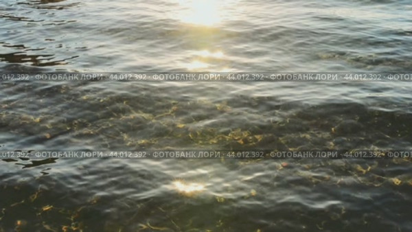 Солнечные зайчики на поверхности озера и рябь на воде создают прекрасную картину. Стоковое видео, видеограф Александр Бушков / Фотобанк Лори
