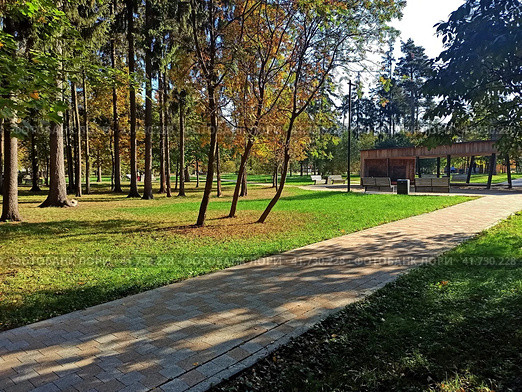 Солнечный осенний день . Пестовский парк  , мкр-н Железнодорожный , Балашиха (2023 год). Редакционное фото, фотограф stargal / Фотобанк Лори