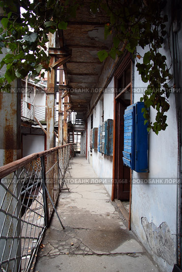 Соседи (2007 год). Стоковое фото, фотограф Alla Andersen / Фотобанк Лори