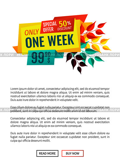 Special offer exclusive sale banner and leaves poster with text. Promotion shopping clearance retail in market. Discounts and sellout proposals vector. Special Offer Exclusive Sale Vector Illustration. Стоковая иллюстрация, агентство Ingram Publishing / Фотобанк Лори