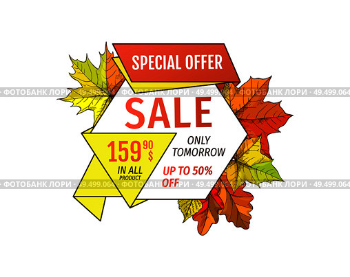 Special offer sale only tomorrow up to fifty percent discount. Promo price 159.90 advertisement autumn label with orange and yellow leaves isolated. Special Offer Sale Only Tomorrow Fifty Percent Off. Стоковая иллюстрация, агентство Ingram Publishing / Фотобанк Лори