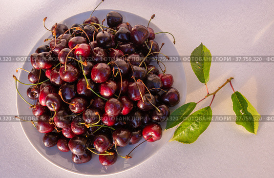 Спелая сочная крупная ароматная черешня на тарелке. Ripe juicy large fragrant cherries on a plate. Стоковое фото, фотограф Мария / Фотобанк Лори