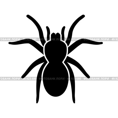 Spider or tarantula black icon . Стоковая иллюстрация, агентство Ingram Publishing / Фотобанк Лори