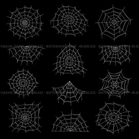 Spider web, net, cobweb icons on black background. Стоковая иллюстрация, иллюстратор Александрина / Фотобанк Лори