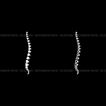 Spine human Spinal Lateral view Vertebras Dorsal vertebrae icon outline set white color vector illustration flat style simple image. Spine human Spinal Lateral view Vertebras Dorsal vertebrae icon outline set white color vector illustration flat style image. Стоковая иллюстрация, агентство Ingram Publishing / Фотобанк Лори