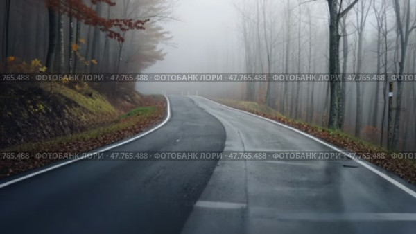 Спокойная туманная лесная дорога осенью с плавными изгибами и атмосферным туманом. Стоковое AI-видео, аниматор ФотоИнтеллект / Фотобанк Лори