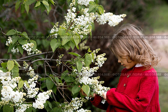 Spring blooming. Portrait of a beautiful 5-year-old little girl in a red dress in a lilac garden in nature. Childhood. Стоковое фото, фотограф Photojuli / Фотобанк Лори
