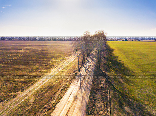 Spring green and brown agricultural fields. Dirt rural road and birch alley. Winter crops and plowed field. Spring countryside aerial landscape. Belarus. Стоковое фото, агентство Ingram Publishing / Фотобанк Лори
