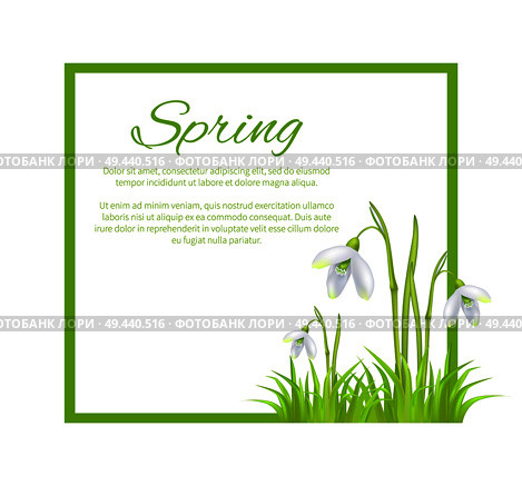 Spring poster with text in frame and colorful snowdrop galanthus bell shaped flowers vector isolated on white background. Fierst spring blooming plants. Spring Poster with Text in Frame Colorful Flowers. Стоковая иллюстрация, агентство Ingram Publishing / Фотобанк Лори