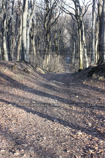 Спуск. Стоковое фото, фотограф Андрианов Владислав / Фотобанк Лори