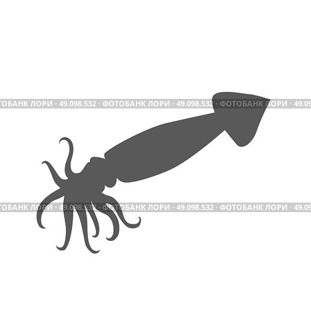 Squid of Monochrome Color Design. Squid monochrome color design. Black squid with tentacles isolated on white background. Creature floating in water. Inhabitant wildlife of underwater world. Edible sea food. Vector illustration. Стоковая иллюстрация, агентство Ingram Publishing / Фотобанк Лори