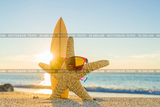 Starfish wearing sunglasses  and surfboard on the beach . Стоковое фото, агентство Ingram Publishing / Фотобанк Лори