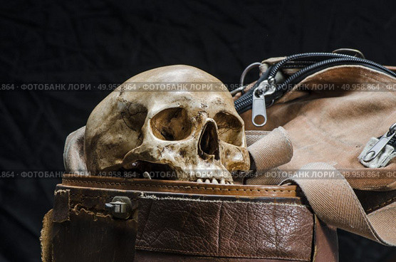 Still life with human skull are placed in old leather box isolated on black background. Стоковое фото, агентство Ingram Publishing / Фотобанк Лори