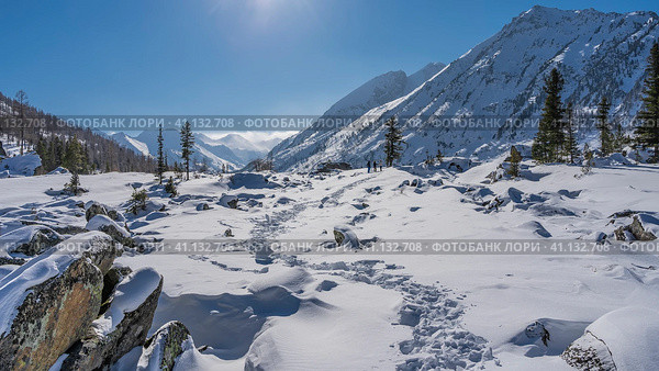 Stones under a layer of snow are scattered across the valley. The chain of footprints is trampled in snowdrifts. In the distance -three people walking forward. Coniferous trees, mountains. Altai. Стоковое фото, фотограф Вера Ивановна Кубарева / Фотобанк Лори