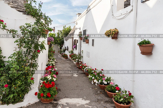 Street in the village of thrulls with white walls of houses, decorated with bright multi-colored flowers. Alberobello, Puglia, Italy (2019 год). Стоковое фото, фотограф Лариса Гордеева / Фотобанк Лори