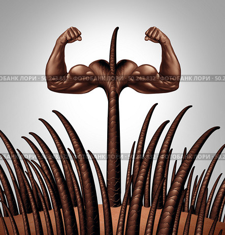 Strong hair and healthy follicle anatomy as a dermitology concept and medical idea as human hairs with a growing shaft emerging from the scalp as a 3D illustration. Стоковое фото, агентство Ingram Publishing / Фотобанк Лори