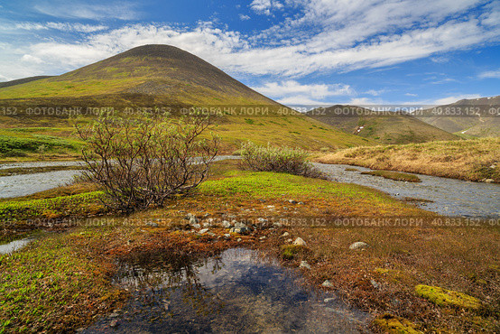 Summer landscape with a mountain stream. The beautiful northern nature of the Arctic. The slopes of the hills covered with tundra. Nice sunny weather. Golden Ridge, Chukotka, Siberia, Far East Russia. Стоковое фото, фотограф Андрей Степанов / Фотобанк Лори