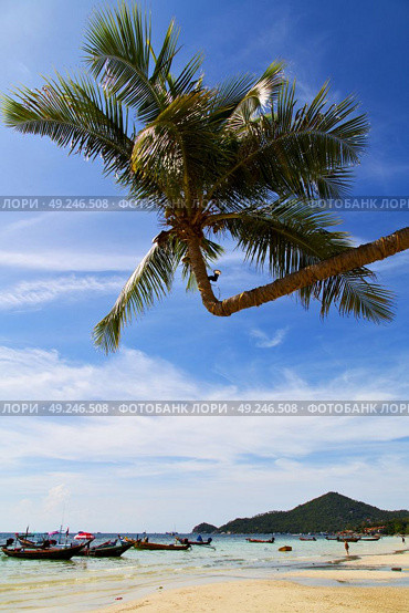 sun ligt  asia in the  kho tao bay isle white  beach    rocks  boat   thailand  and south china sea anchor. Стоковое фото, агентство Ingram Publishing / Фотобанк Лори