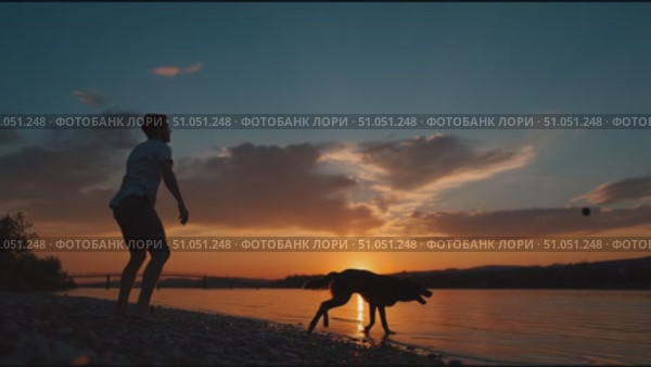 Sunset dog play by the river showcases joy and companionship in serene outdoor setting. Стоковое AI-видео, аниматор Сергей Толмачёв / Фотобанк Лори