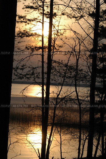 Sunset over the forest lake. Стоковое фото, фотограф Анна Кривицкая / Фотобанк Лори